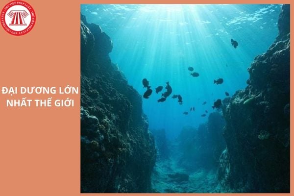 Đại dương lớn nhất thế giới là gì? | AI Hay - Hỏi ngay đáp hay
