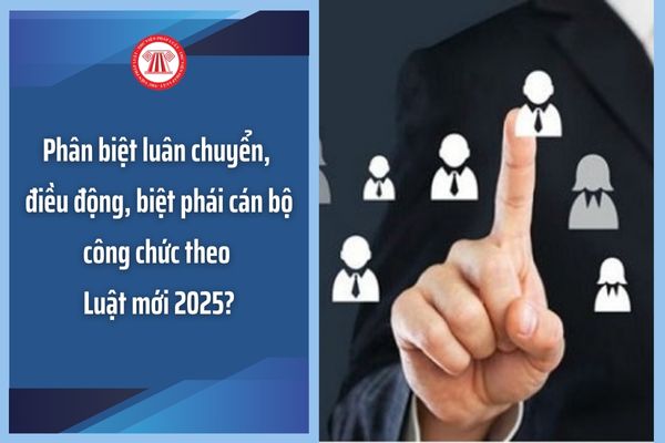 điều động, bổ nhiệm, luân chuyển, biệt phái, là gì | AI Hay - Hỏi ngay ...