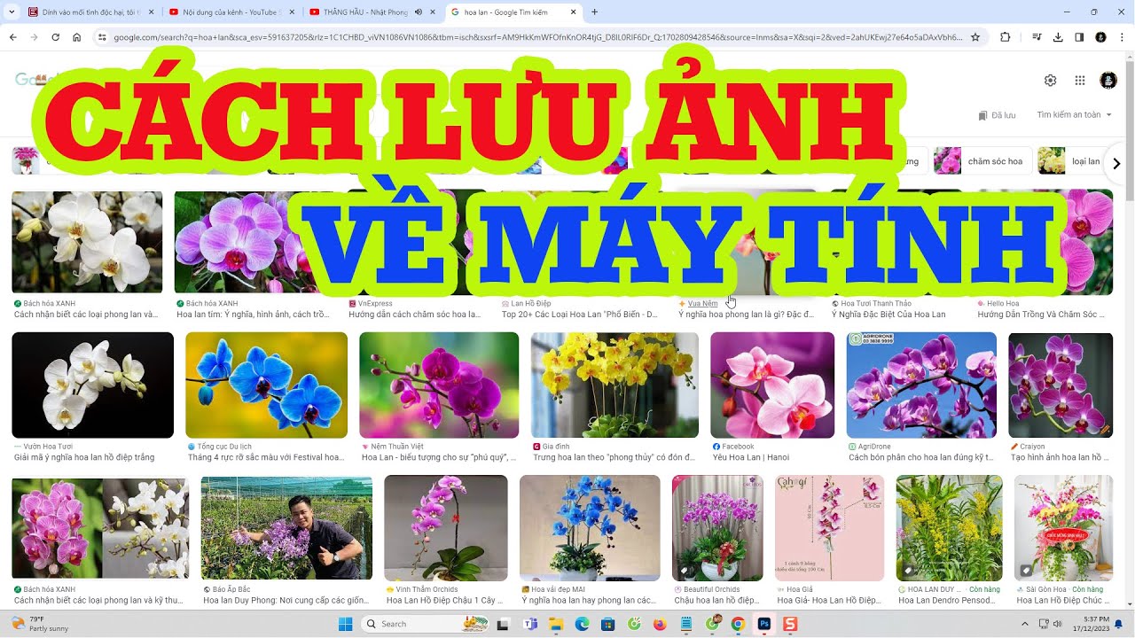 Làm sao để tải hình ảnh toán học về máy tính Windows 11? | AI Hay - Hỏi ...