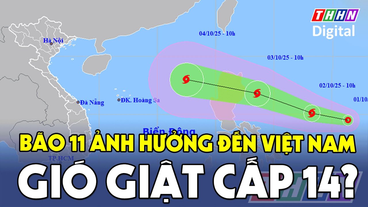Bão số 11 tin mới nhất | AI Hay - Hỏi ngay đáp hay