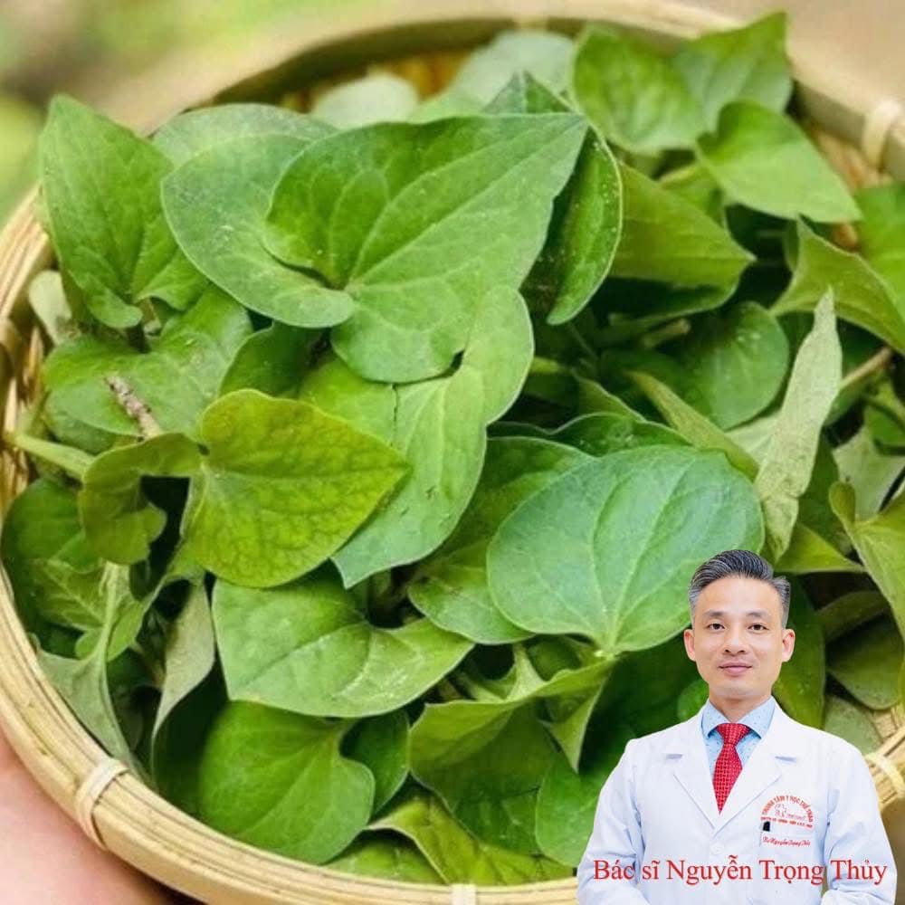 Rau diếp cá và lá mơ lông có thể kết hợp trong món ăn nào để tăng cường ...